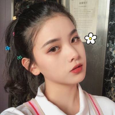 半岛·综合体育下载截图